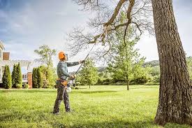 Leaf Removal in Freeport, NY